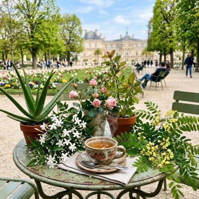 Thé Oolong "Jardin du Luxembourg"