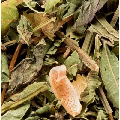 Infusion "Tisane du Berger"