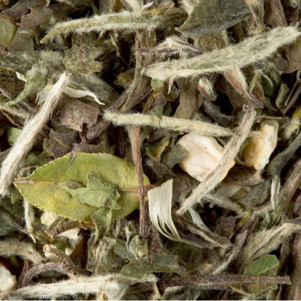 Thé Blanc "Pai Mu Tan"