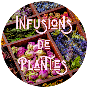 Infusions de Plantes